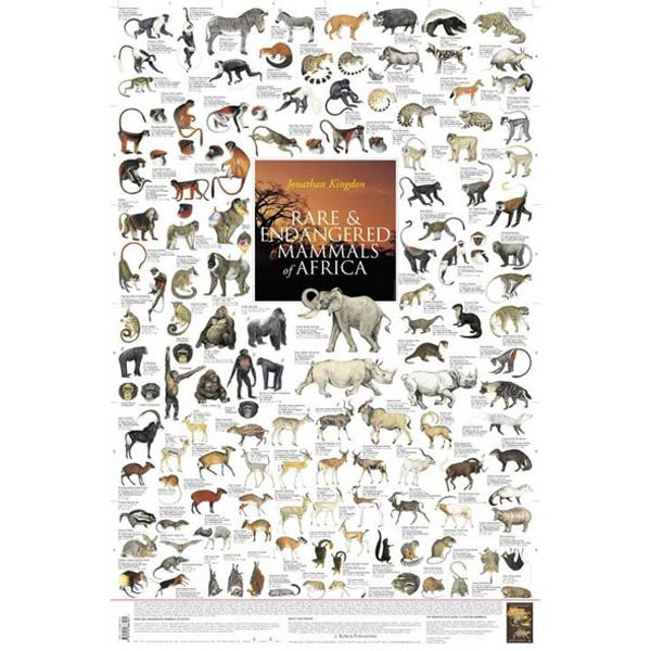 Poster "Rare and Endangered Mammals of Africa"